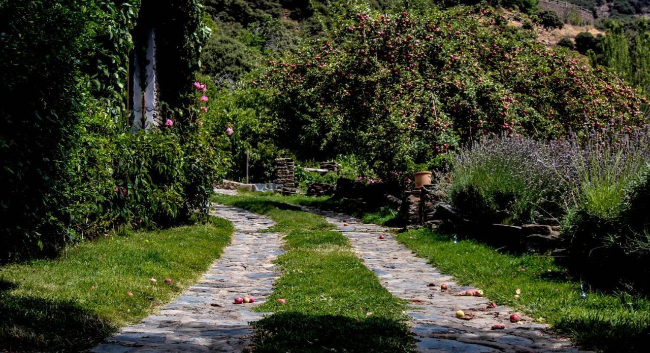 Casa Rural Catifalarga Alpujarra Капилейра Экстерьер фото